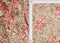 1 Yard Digital Animal Floral Print DTY Knit Fabric 58/60" Wide